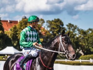 5 Best Jockeys to Watch Out for the 2024 Belmont Stakes  