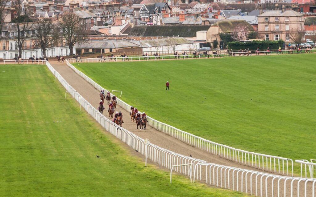 Behind the Track: How Trainers Prepare Top Racehorses  