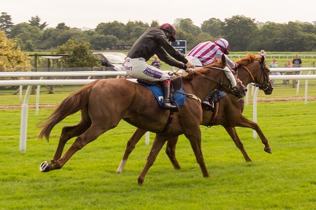 Did Steve Cauthen ever win the Prix de l'Arc de Triomphe?  